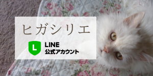 ヒガシリエ 公式LINE